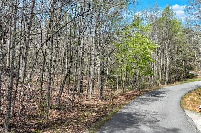 a view of a forest from a balcony
