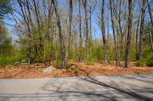 a view of a street with a yard and a large tree