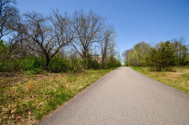 a view of swimming pool with trees in the background