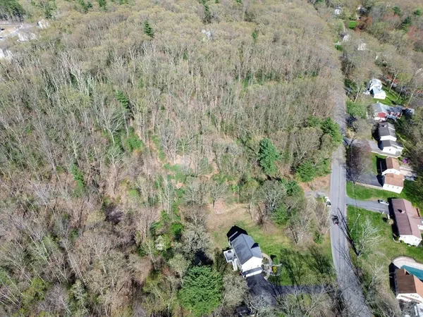 a view of a yard with plants and trees