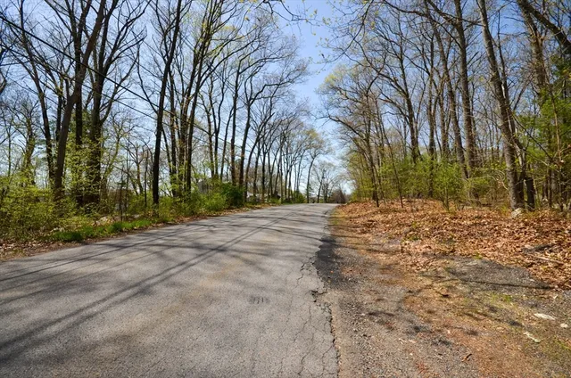 a view of a yard with an trees