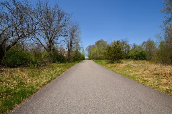 a view of city and mountain