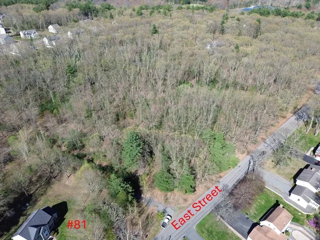 a view of a forest with a houses