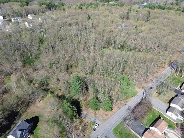 a view of a dry yard with trees all around