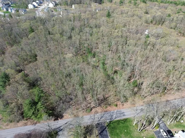 a view of a garden with plants