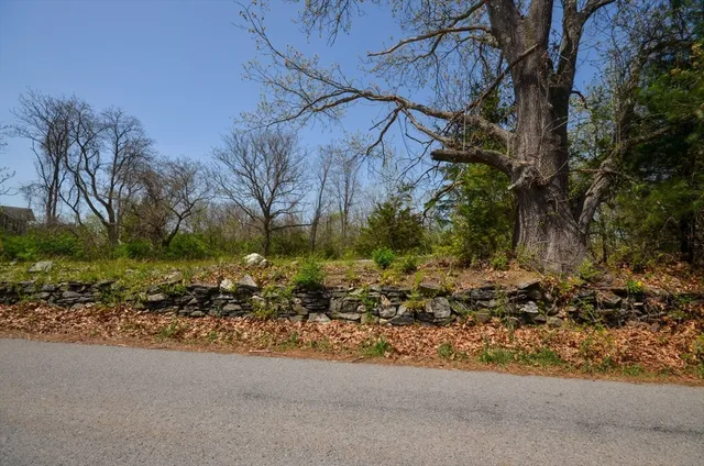 a view of a houses with a lush green forest