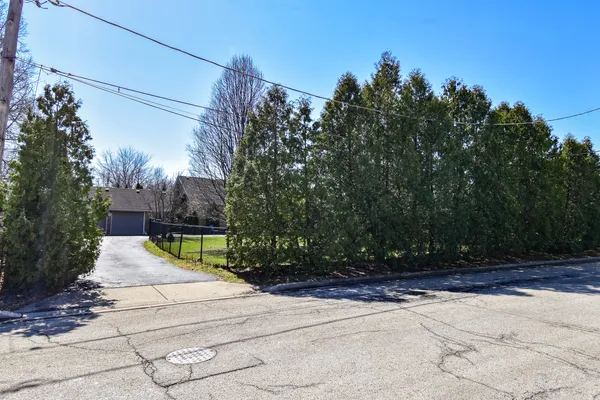 a view of a house with backyard and tree
