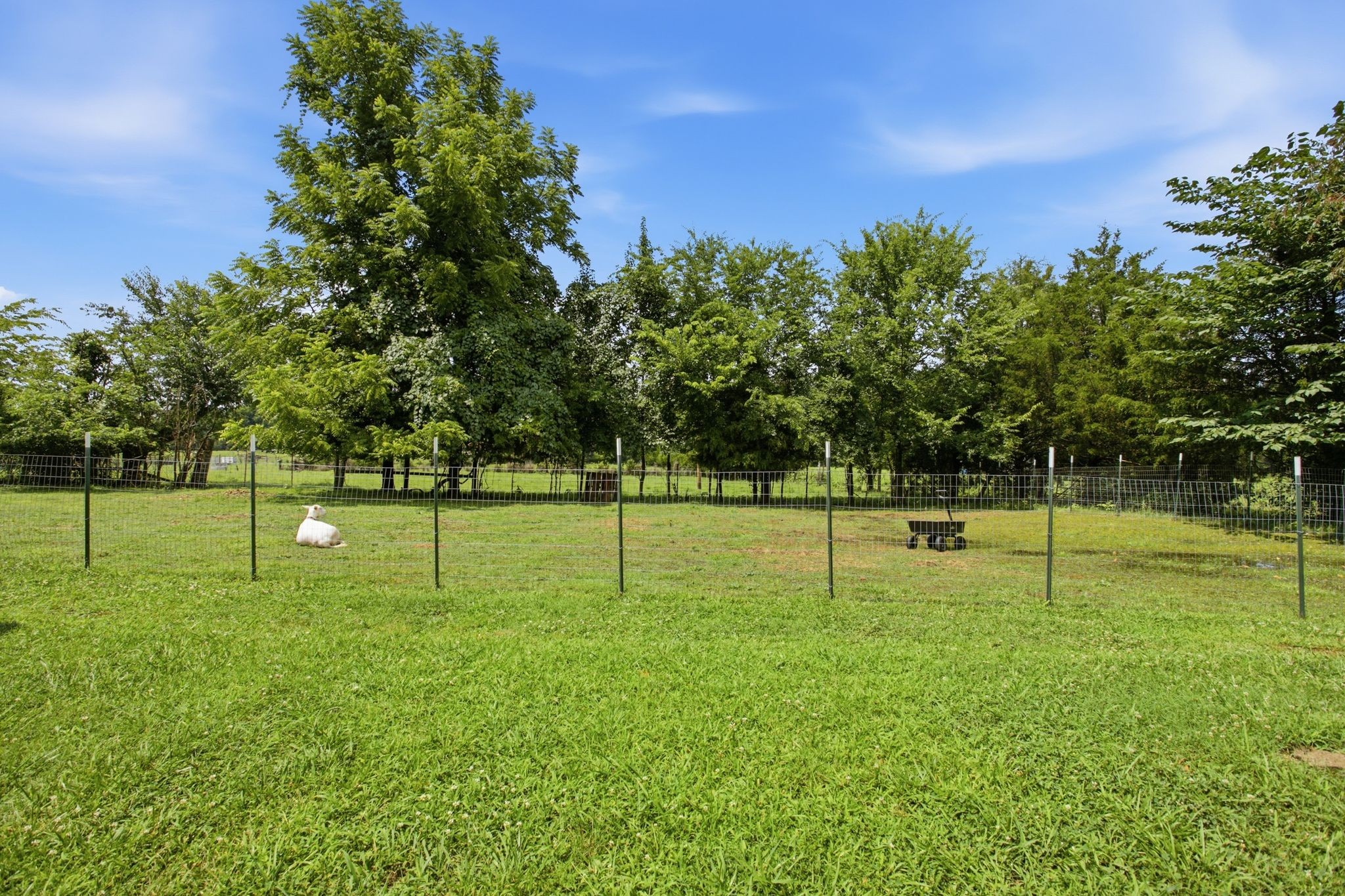 1900 Holly Grove Road Lewisburg, TN 37091 - Photo 39 of 40