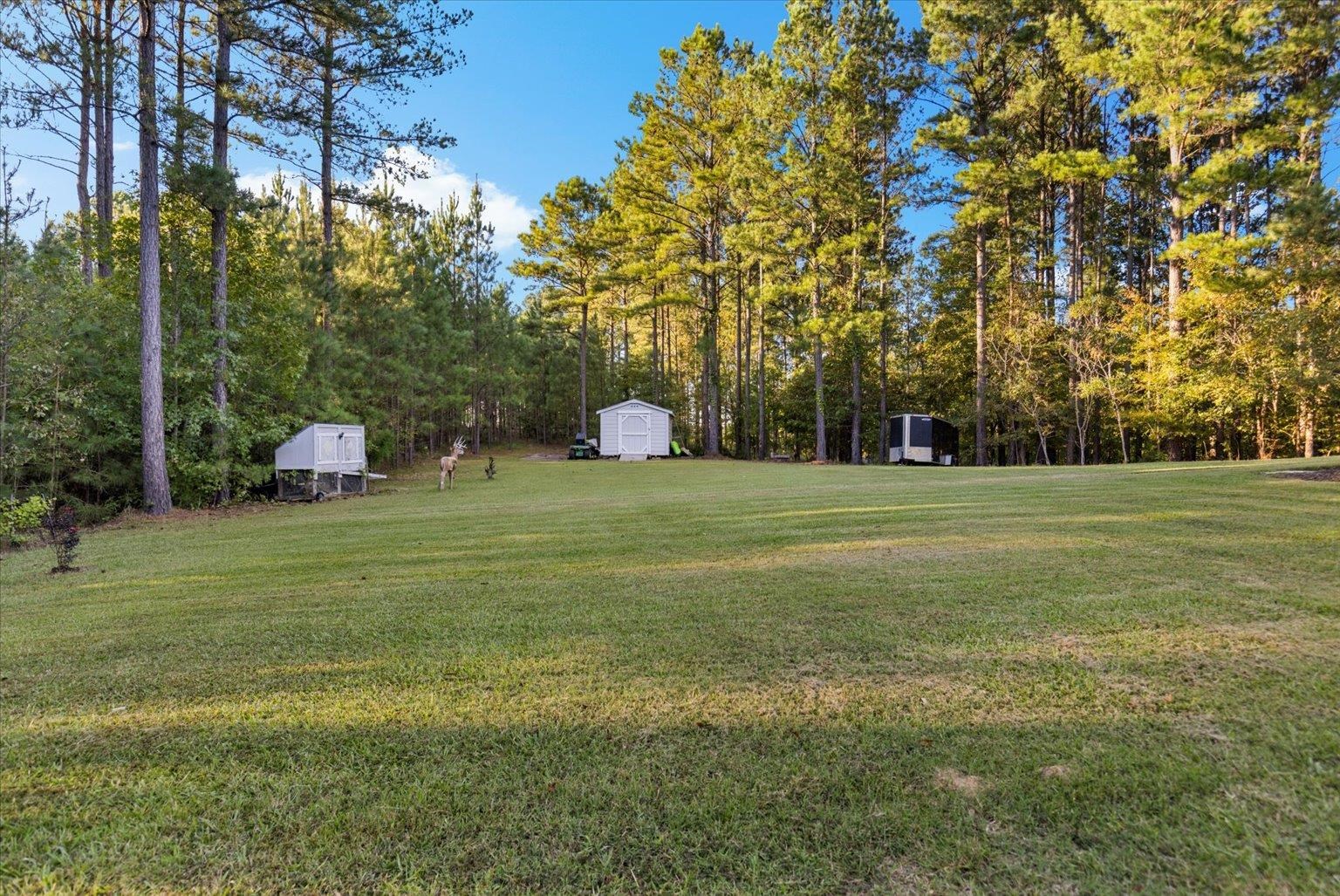 906 State Rd S-11-72 Gaffney, SC 29340 - Photo 41 of 44
