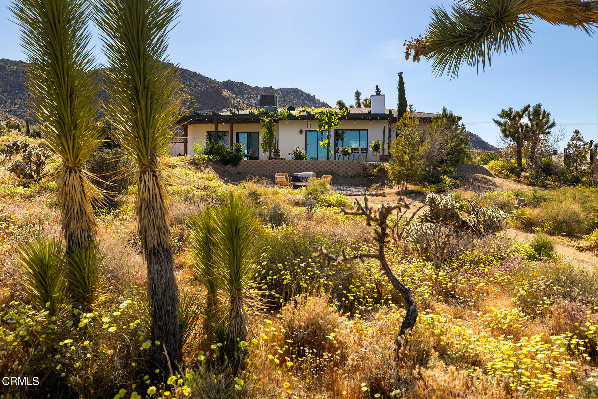 8331 Sunset Road Joshua Tree, CA 92252 - Photo 29 of 58 a view of a house with a yard