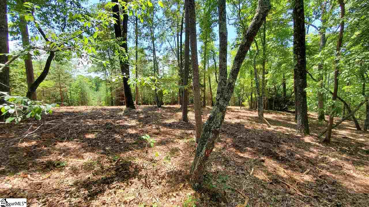 Shallowford Road Salem, SC 29676 - Photo 4 of 6 Gallery Image 4