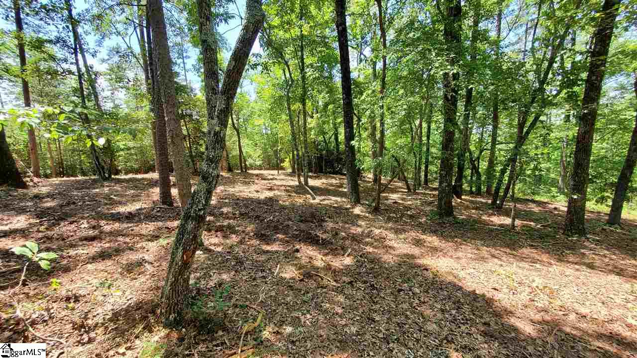 Shallowford Road Salem, SC 29676 - Photo 5 of 6 Gallery Image 5