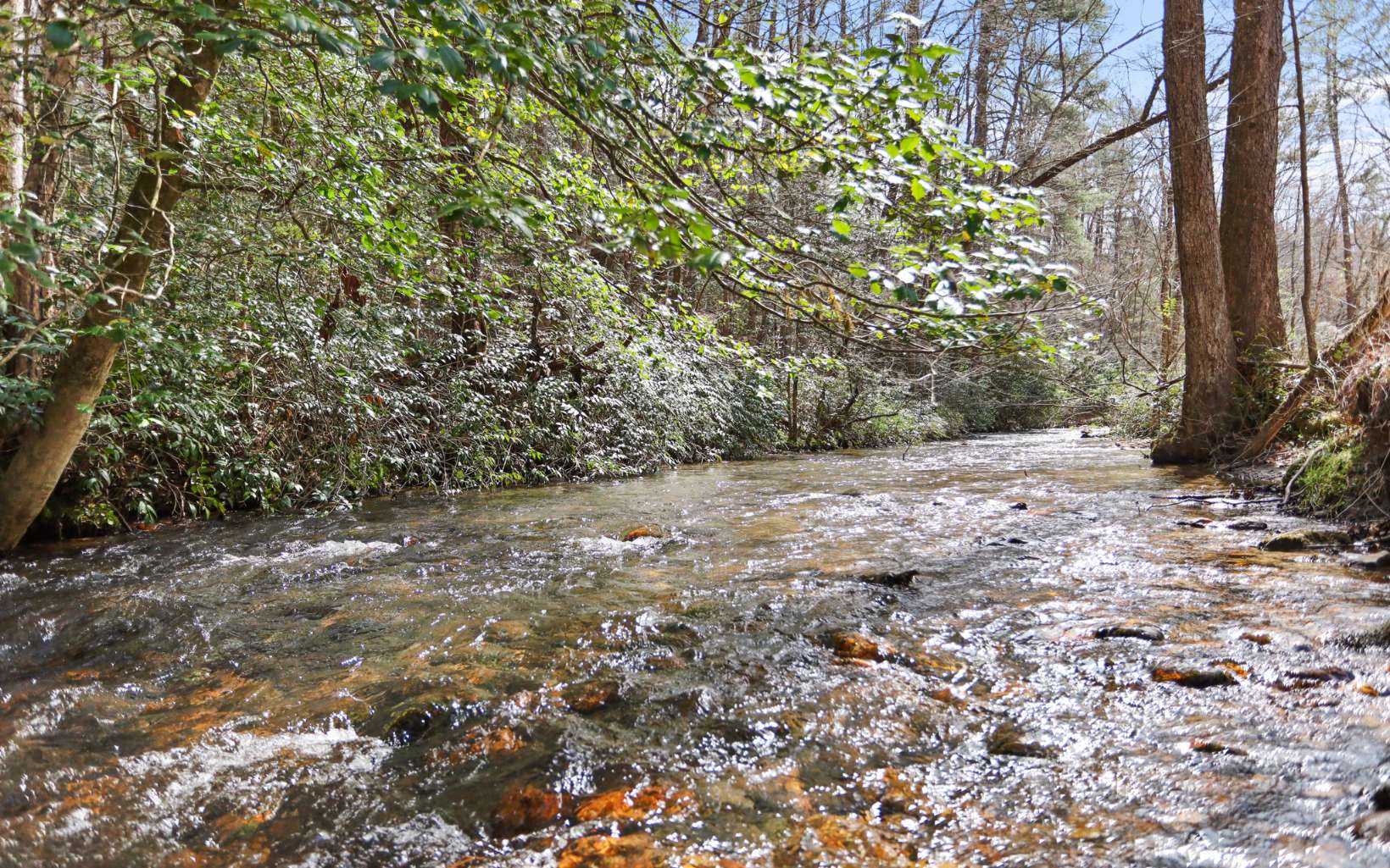 Aska Road Blue Ridge, GA 30513 - Photo 13 of 29 Additional View