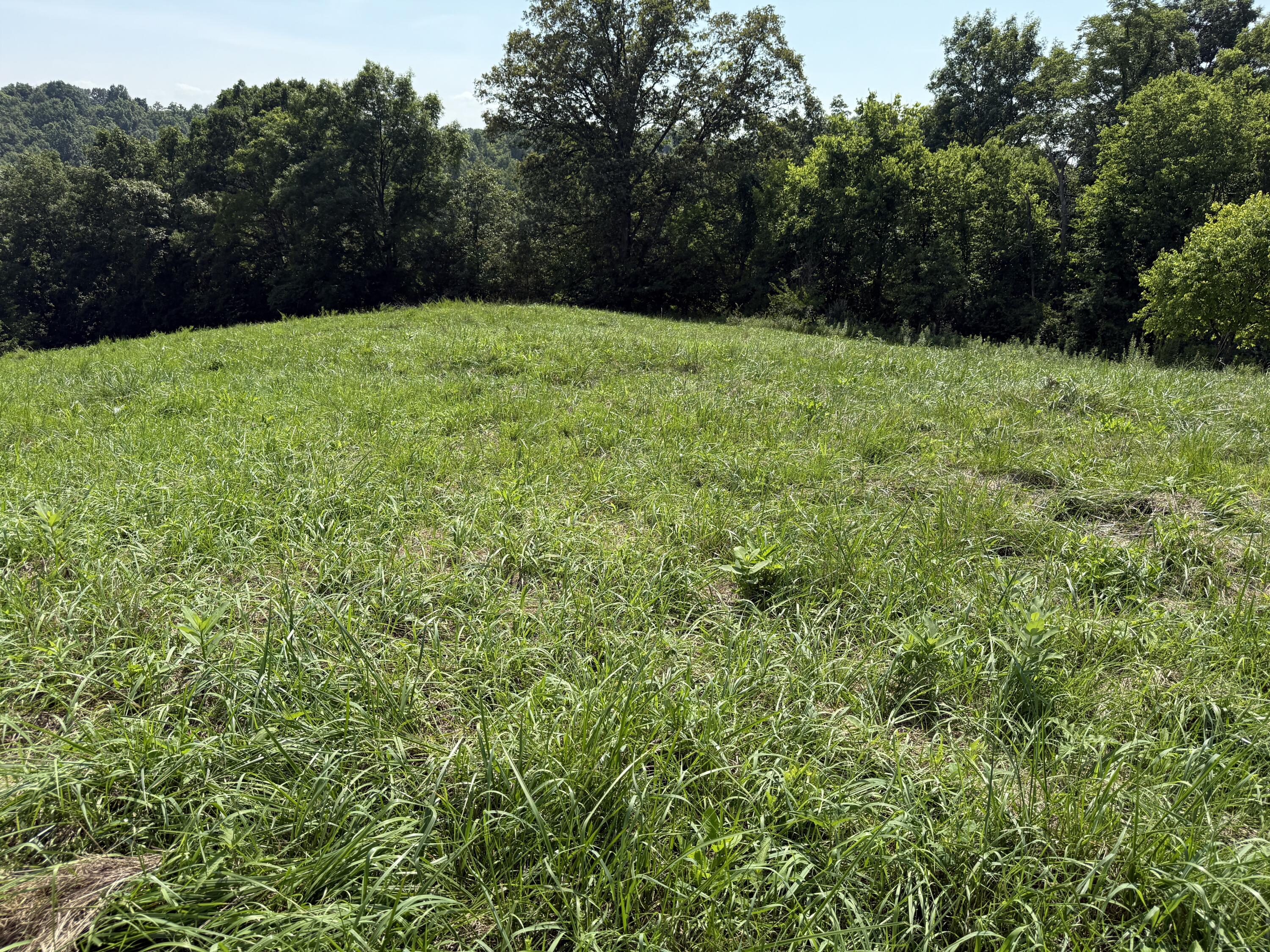 0 Goldsvalley Road Dry Ridge, KY 41035 - Photo 18 of 50