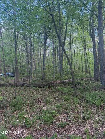 $6,000 | Lot 138 Ingot Road, Claysburg, PA 16625