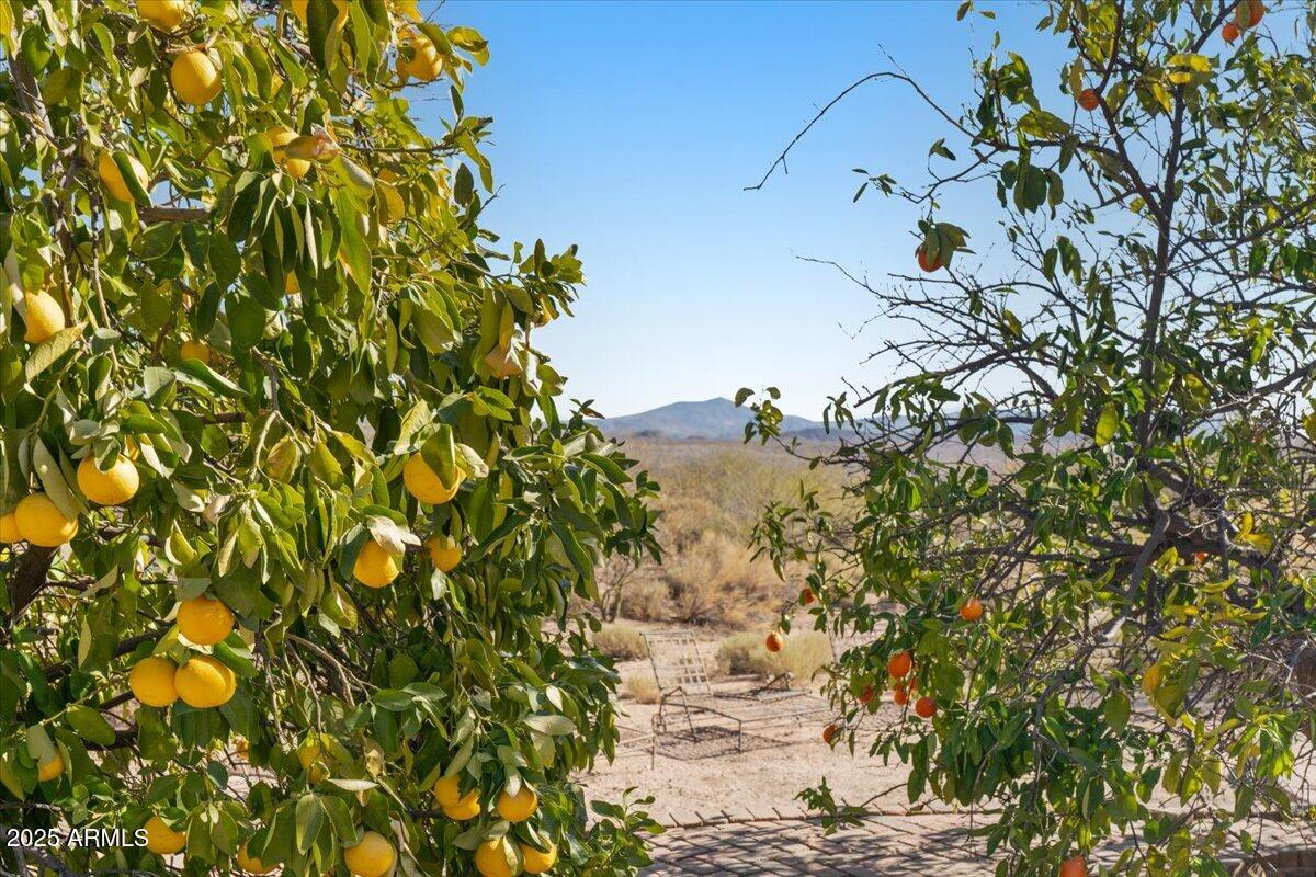 42221 North Deer Trail Road Scottsdale, AZ 85262 - Photo 38 of 57 45-mountain views