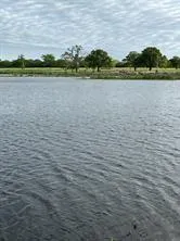 $100,000 | 0 Bagwell Tract, Unit 37, Bagwell, TX 75412