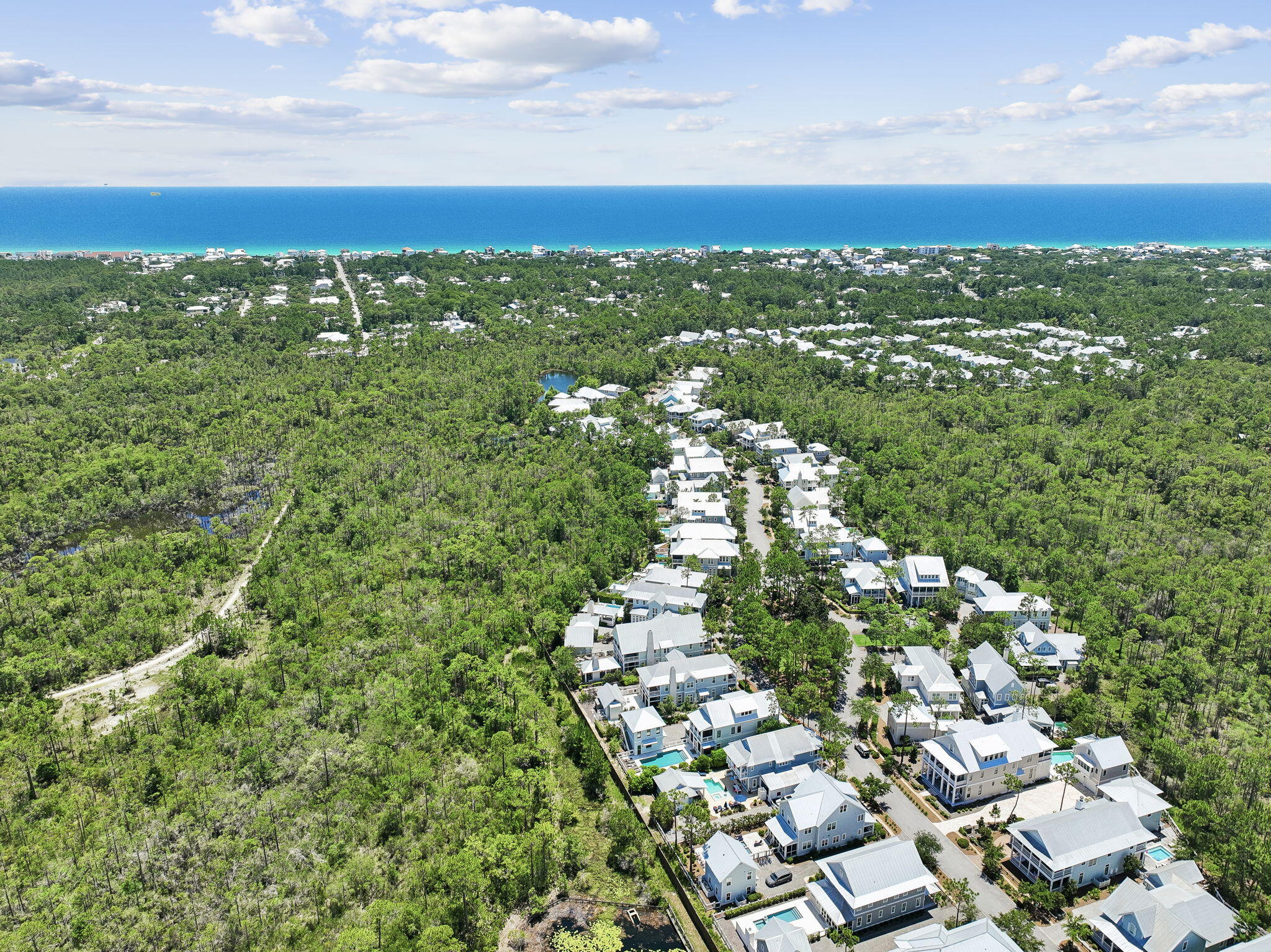 514 East Royal Fern Way Santa Rosa Beach, FL 32459 - Photo 71 of 88 Array_514EastRoyalFernWay-14