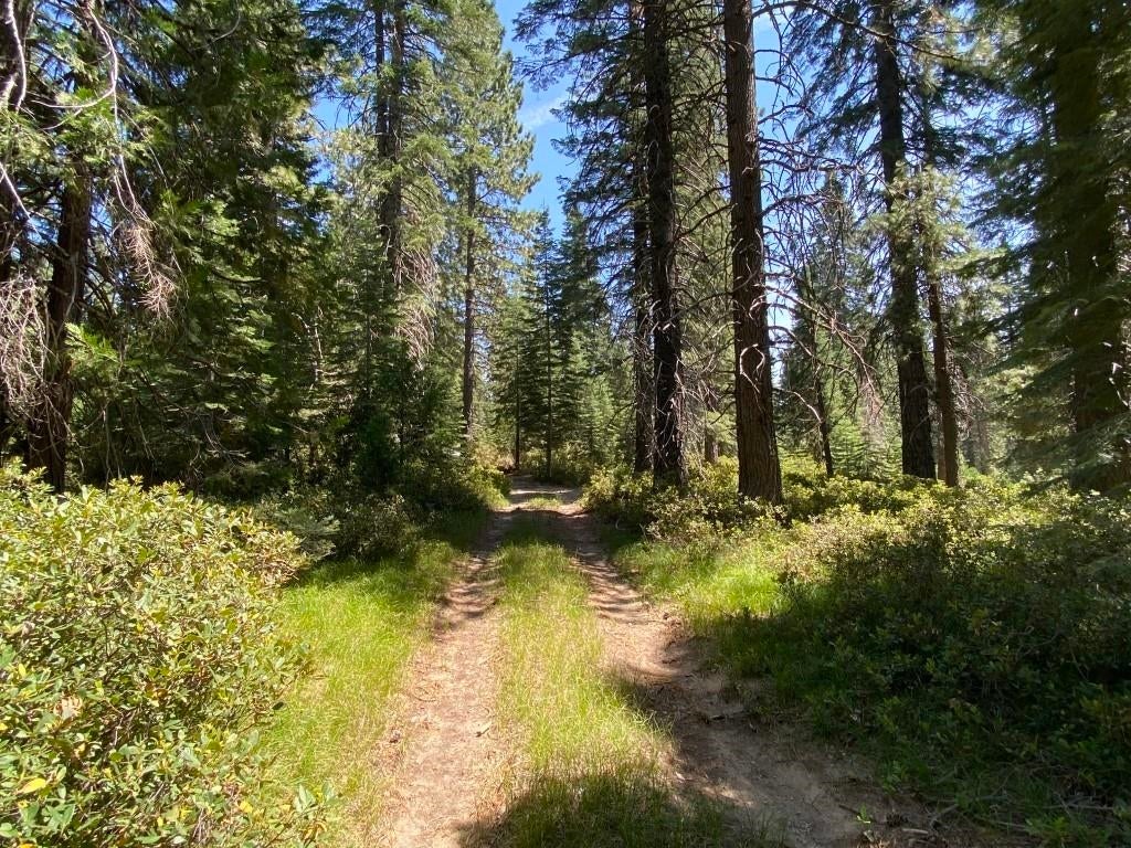 3-e-44 Red Fir Road McCloud, CA 96057 - Photo 25 of 32 Gallery Image 25