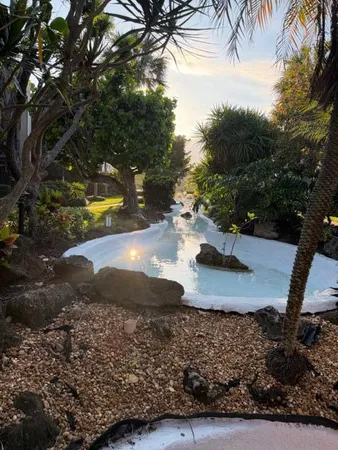 a view of a yard with plants