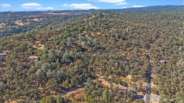 a view of a yard with a tree