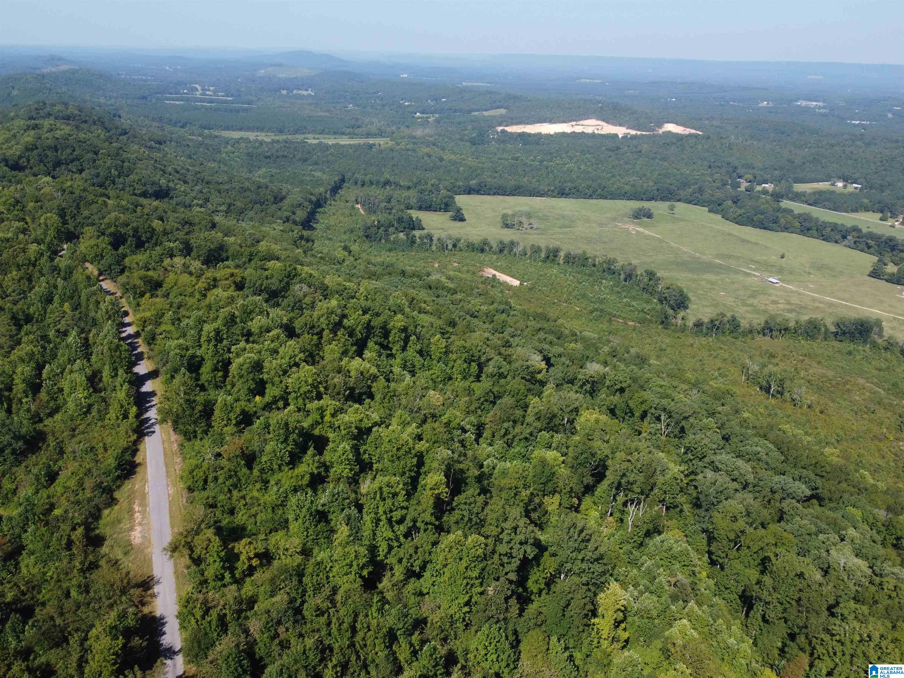 0 Beaver Mountain Road Ashville, AL 35953 - Photo 17 of 40