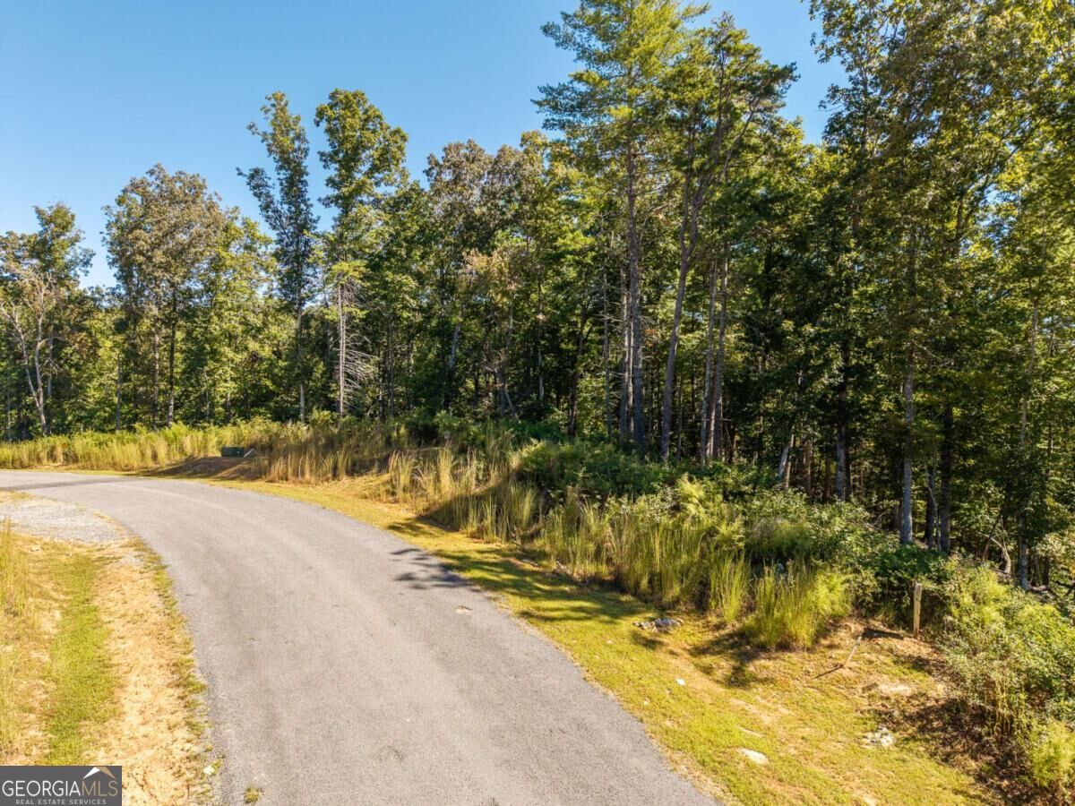 Lot 62 Ridge Drive, Unit 62 Morganton, GA 30560 - Photo 4 of 17 Gallery Image 4