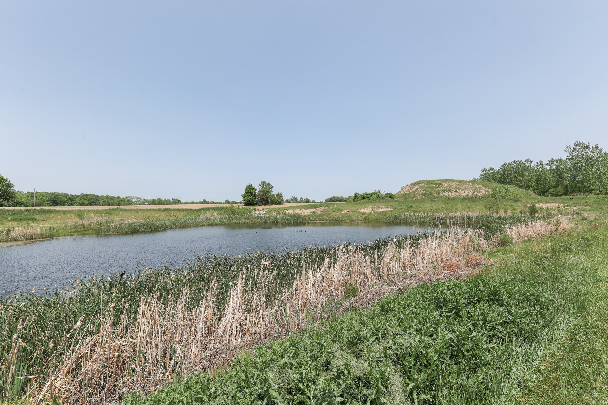 9010 Hosta Way Camby, IN 46113 - Photo 34 of 35