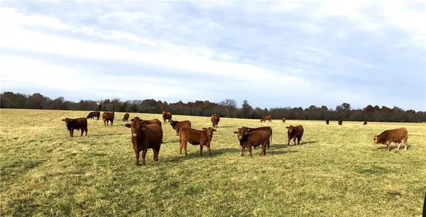 $1,350,000 | 674 North N Highway, Lamar, MO 64759