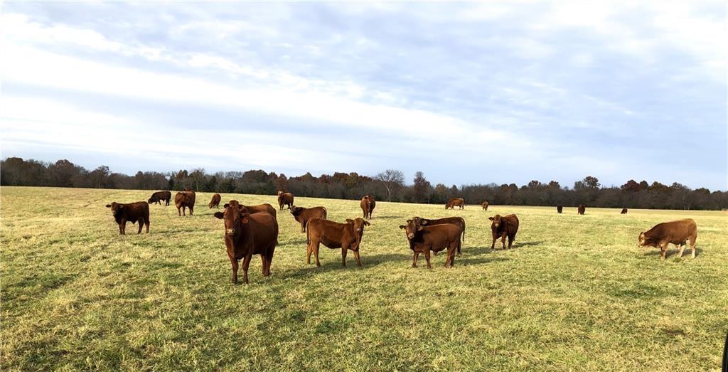 674 North N Highway Lamar, MO 64759 - Photo 18 of 19