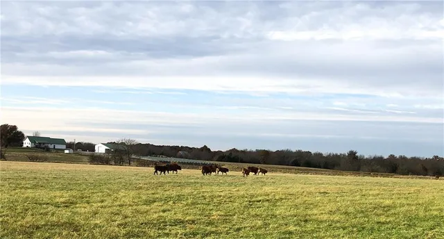 $1,350,000 | 674 North N Highway, Lamar, MO 64759