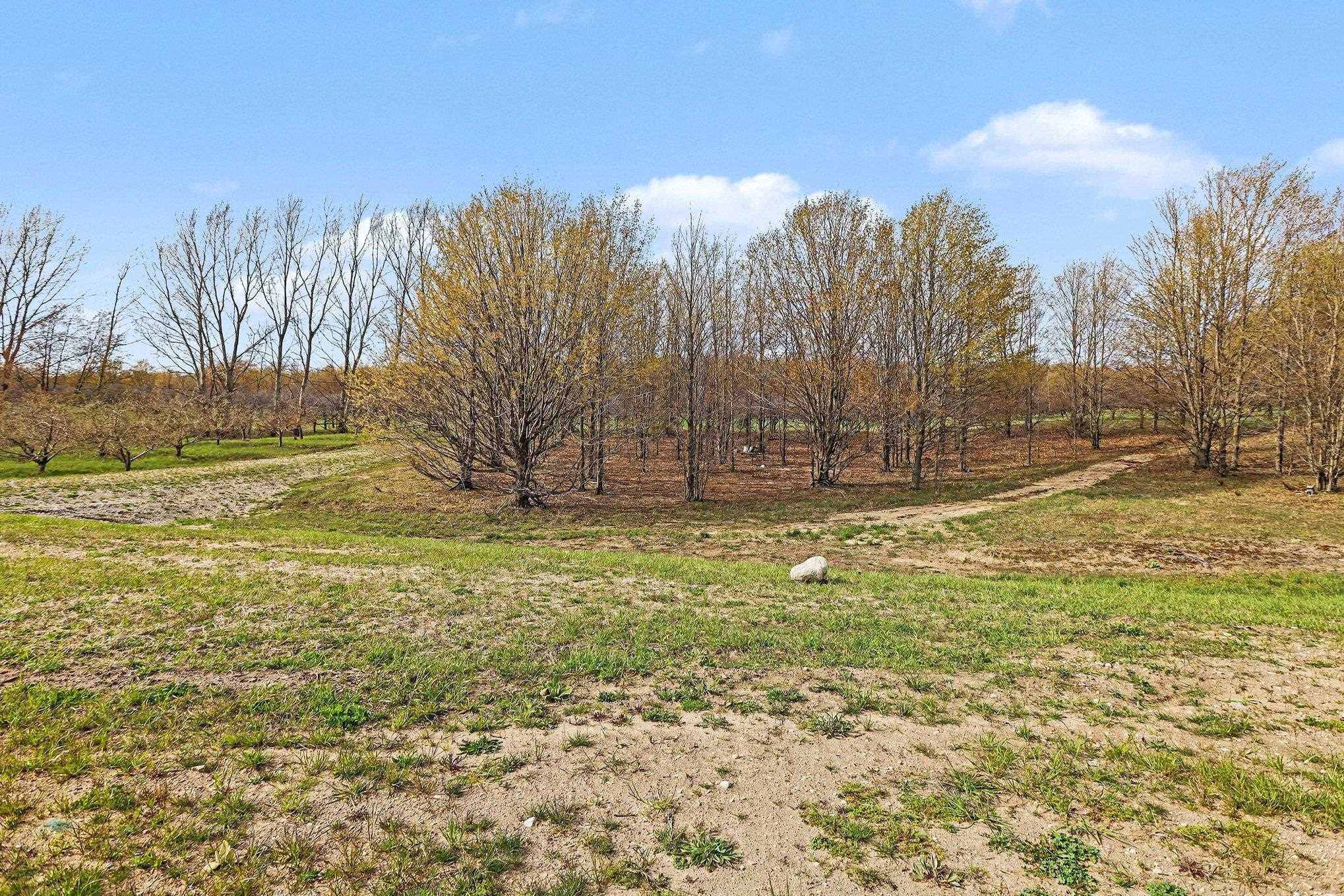 Parcel 8 Karnes Road, Unit LOT: 8 Empire, MI 49636 - Photo 5 of 7
