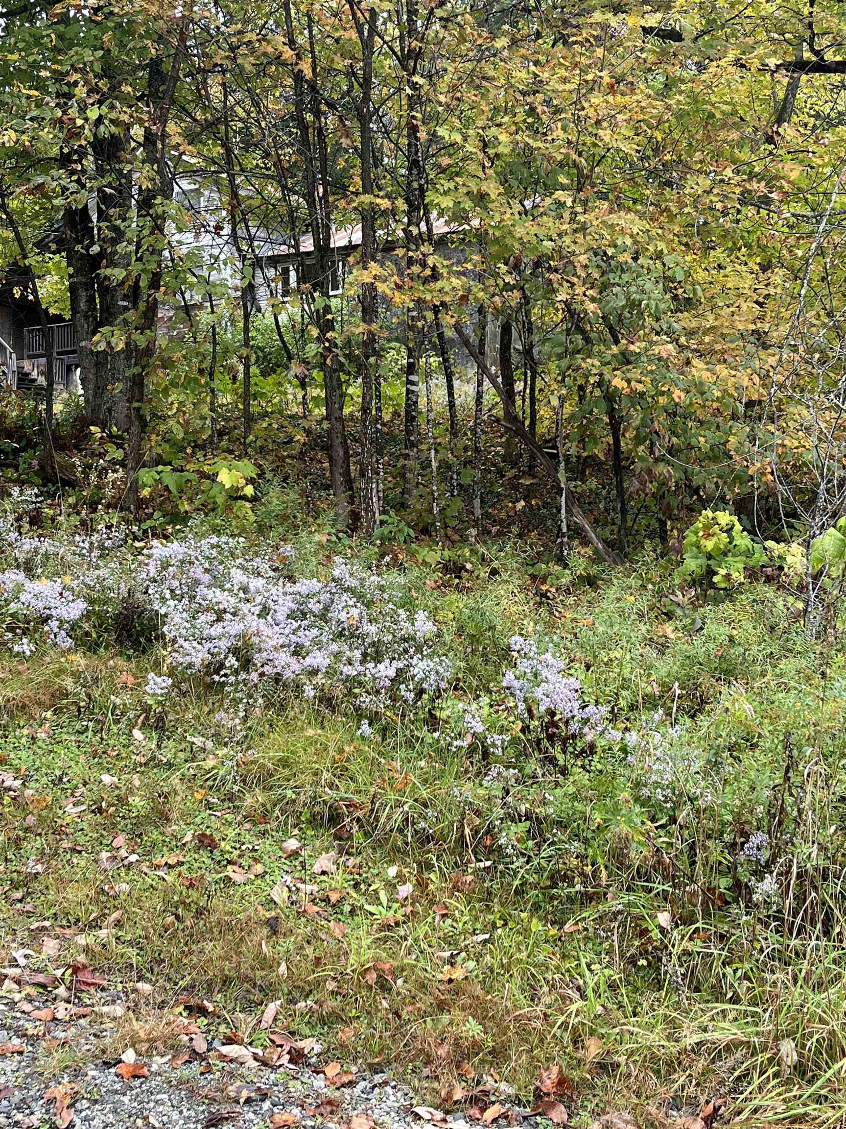 404 Bliss Pond Road Calais, VT 05648 - Photo 27 of 35 Gallery Image 27