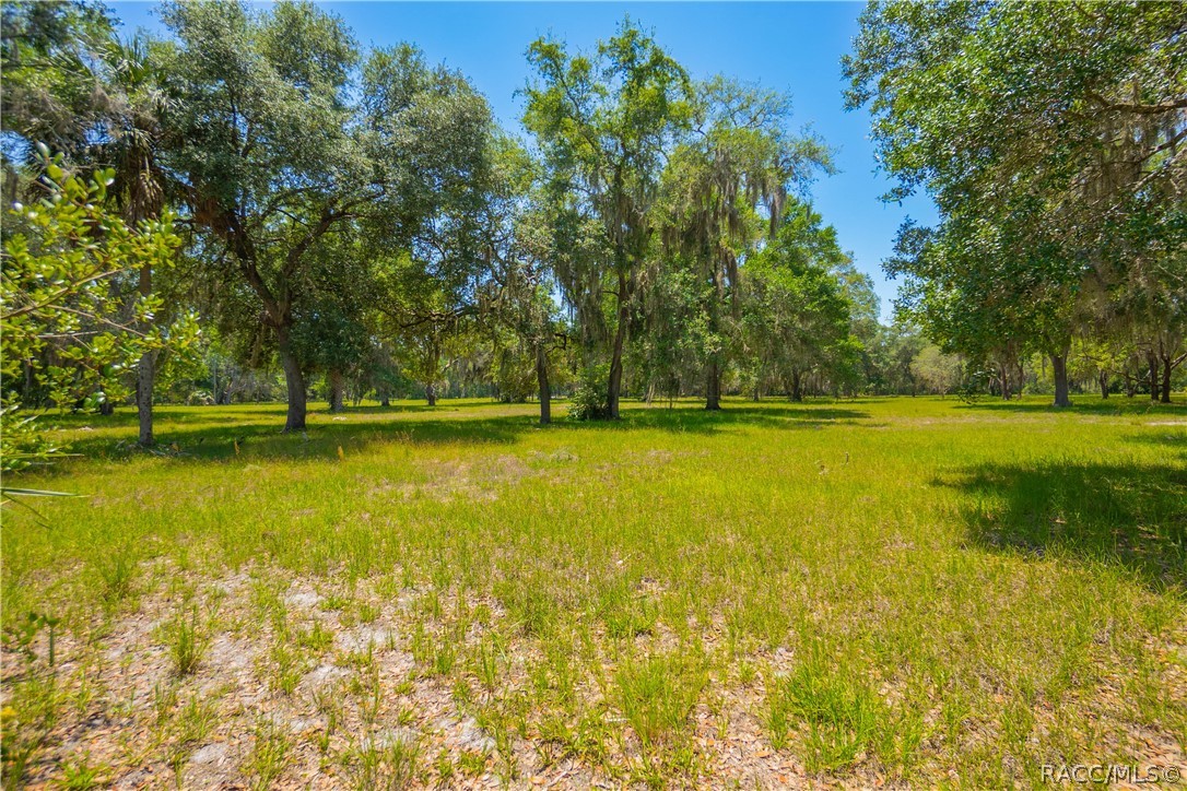 20 Cove Road Inglis, FL 34449 - Photo 2 of 18