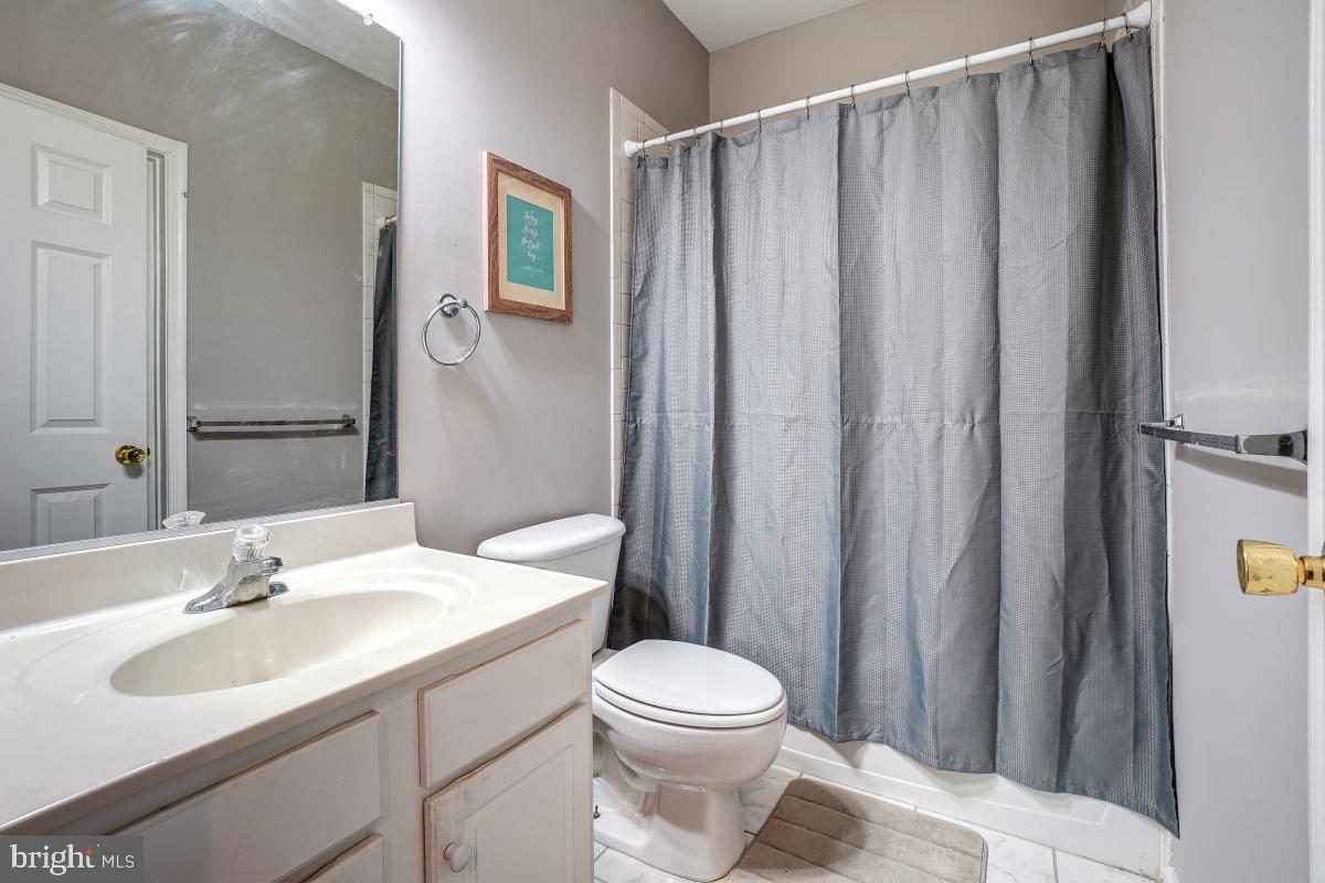4281 South Capitol Street Southwest Washington, DC 20032 - Photo 32 of 71 a bathroom with a sink a toilet and shower curtain