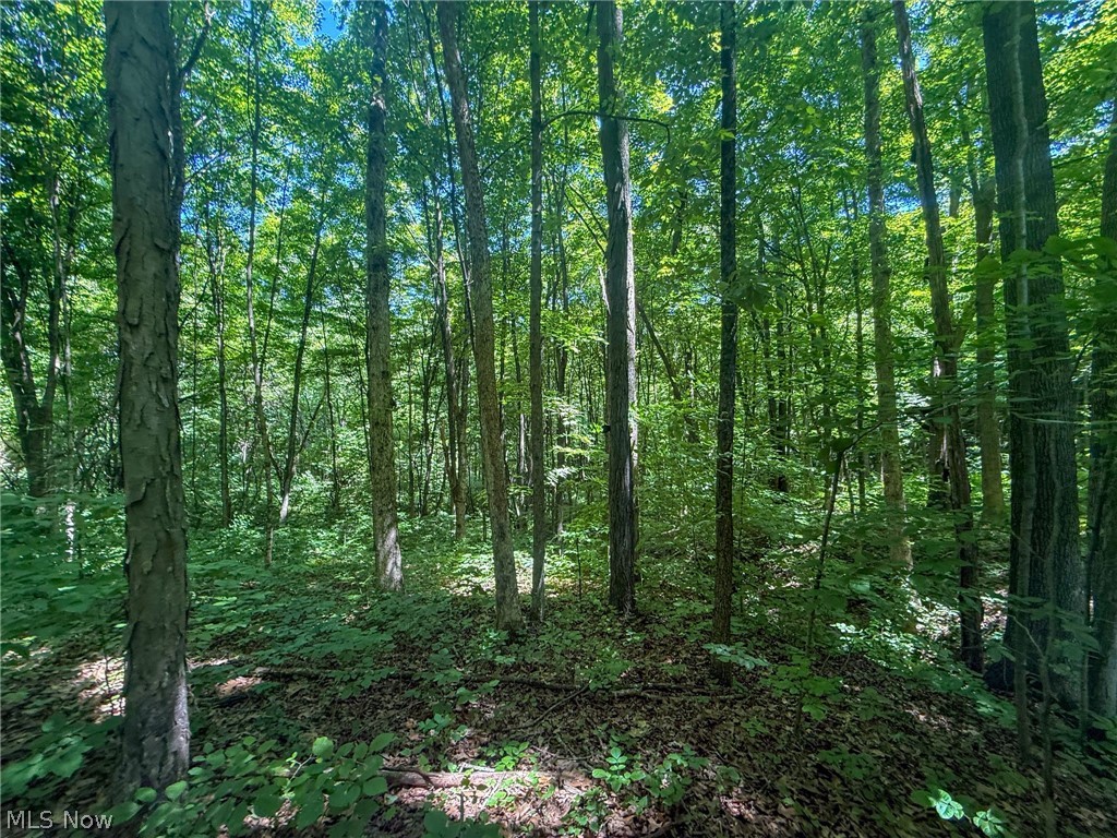Keffer Road Stockport, OH 43787 - Photo 9 of 25