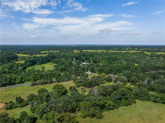 a view of a bunch of trees
