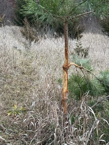 $375,000 | 21001 Vergus Avenue, Prior Lake, MN 55372