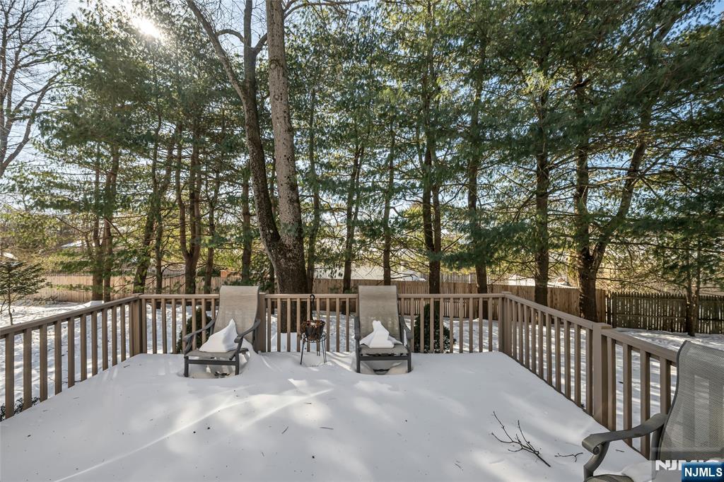 12 Catherine Terrace Park Ridge, NJ 07656 - Photo 19 of 19