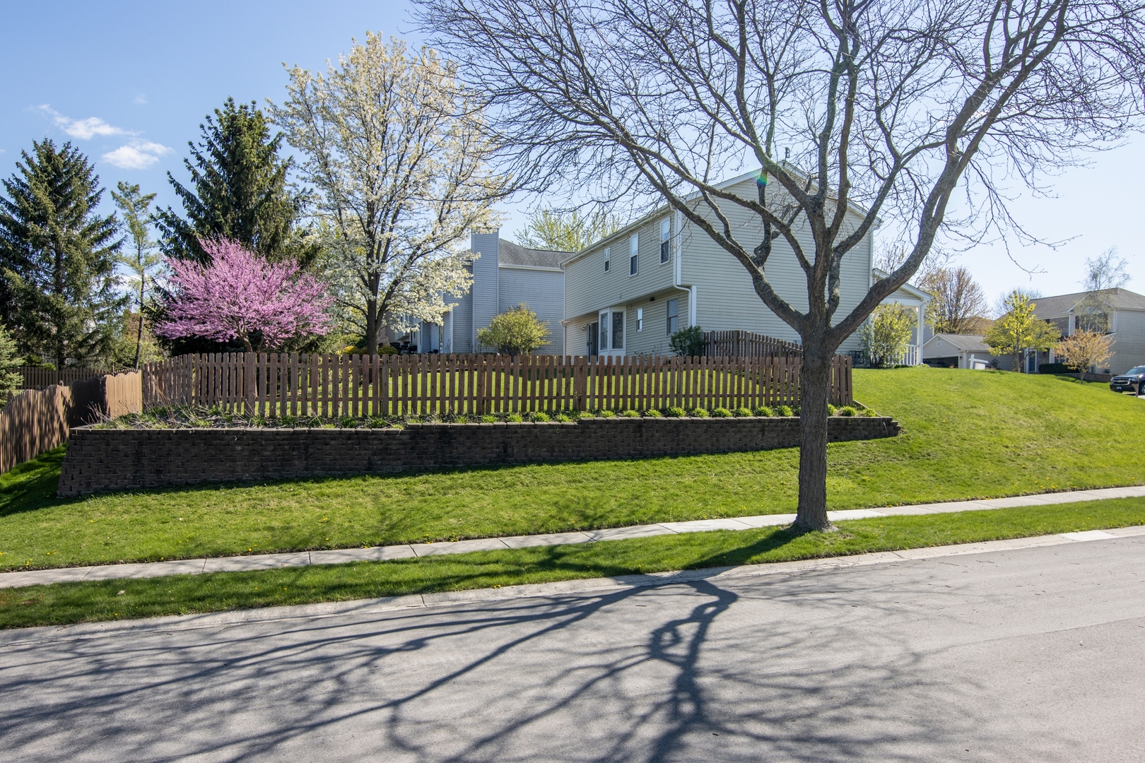 619 Chatham Circle Algonquin, IL 60102 - Photo 35 of 37 a view of a park with large trees
