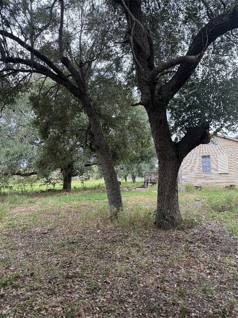 12937 Hearn Road Corpus Christi, TX 78410 - Photo 2 of 4 a view of a yard with a tree