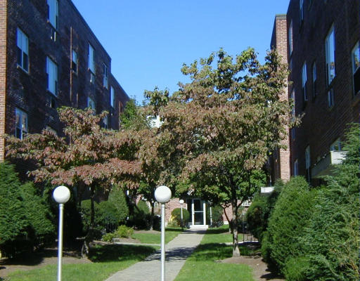 61 Colborne Road, Unit 6 61 Boston, MA 02135 - Photo 1 of 1 Gallery Image 1