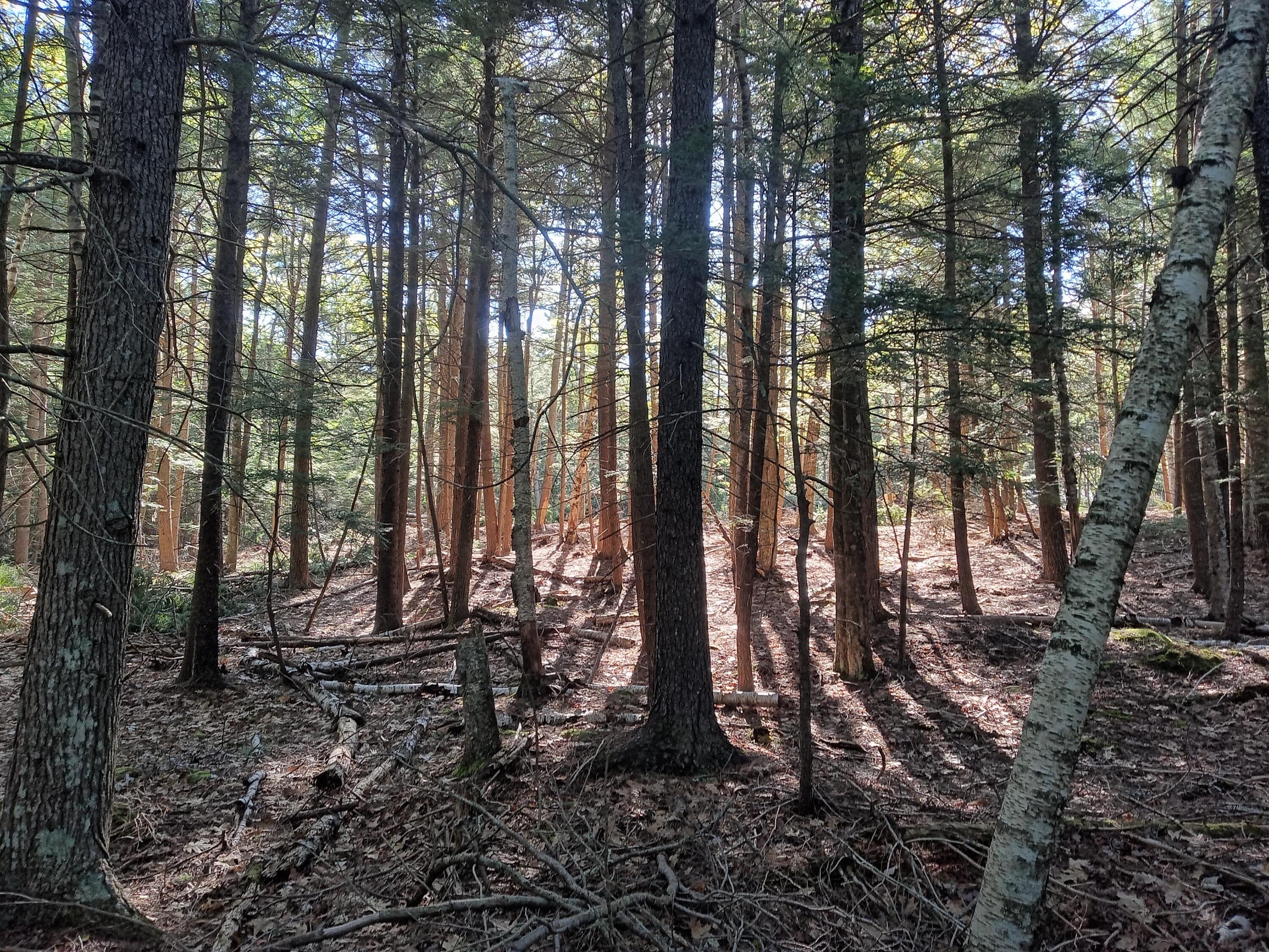 0 Ridge School Road Liberty, ME 04949 - Photo 5 of 6