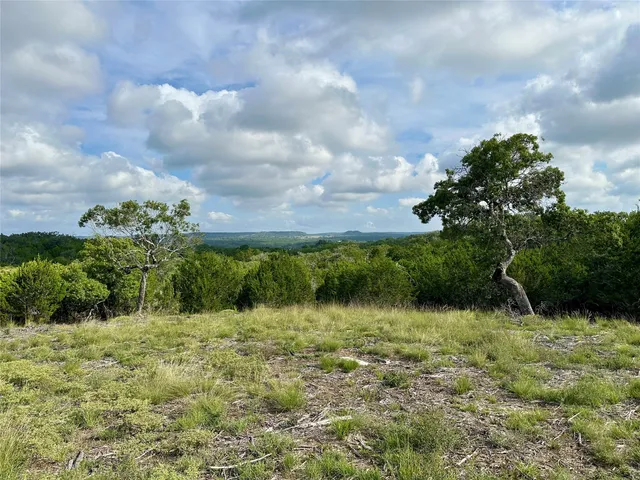 a view of a lake in middle of forest