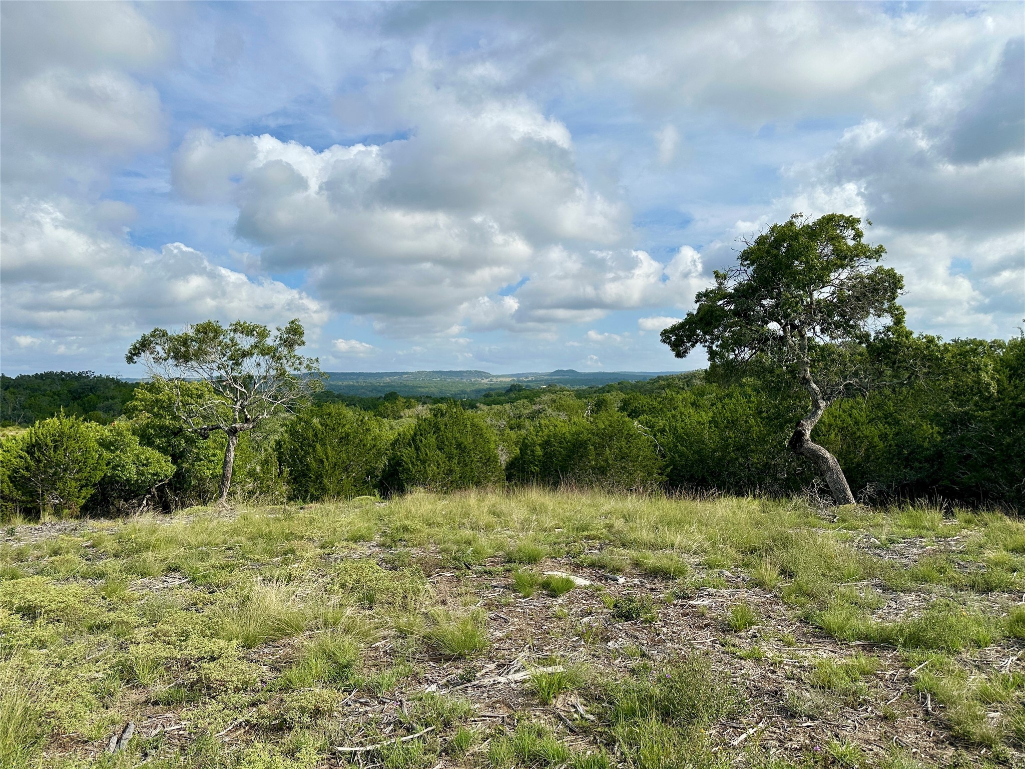 1200 Lipan Apache Run Blanco, TX 78606 - Photo 2 of 12 a view of a garden