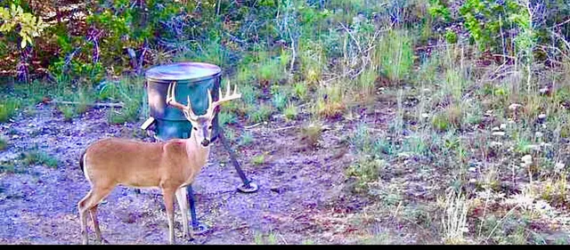 a close view of a shower in bathroom