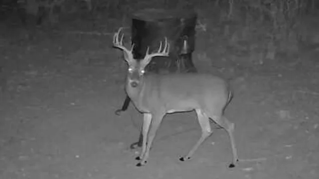 a view of an outdoor sitting area