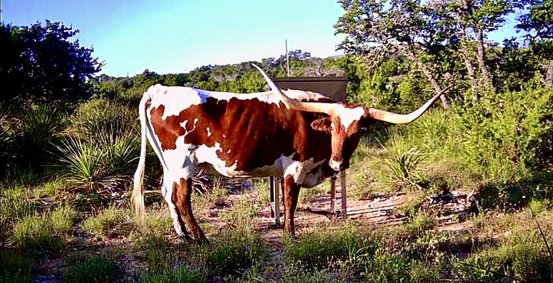 1200 Lipan Apache Run Blanco, TX 78606 - Photo 8 of 12 a view of an outdoor sitting area
