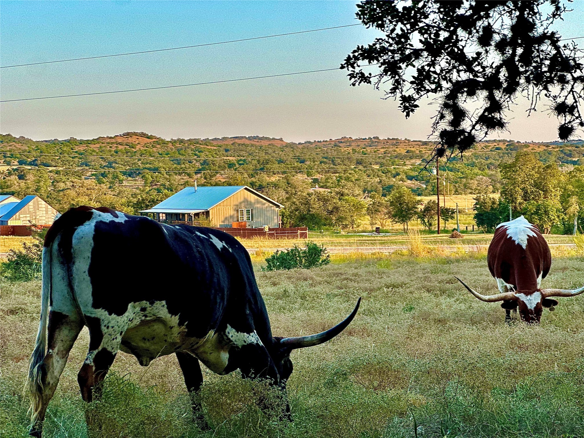 1200 Lipan Apache Run Blanco, TX 78606 - Photo 10 of 12