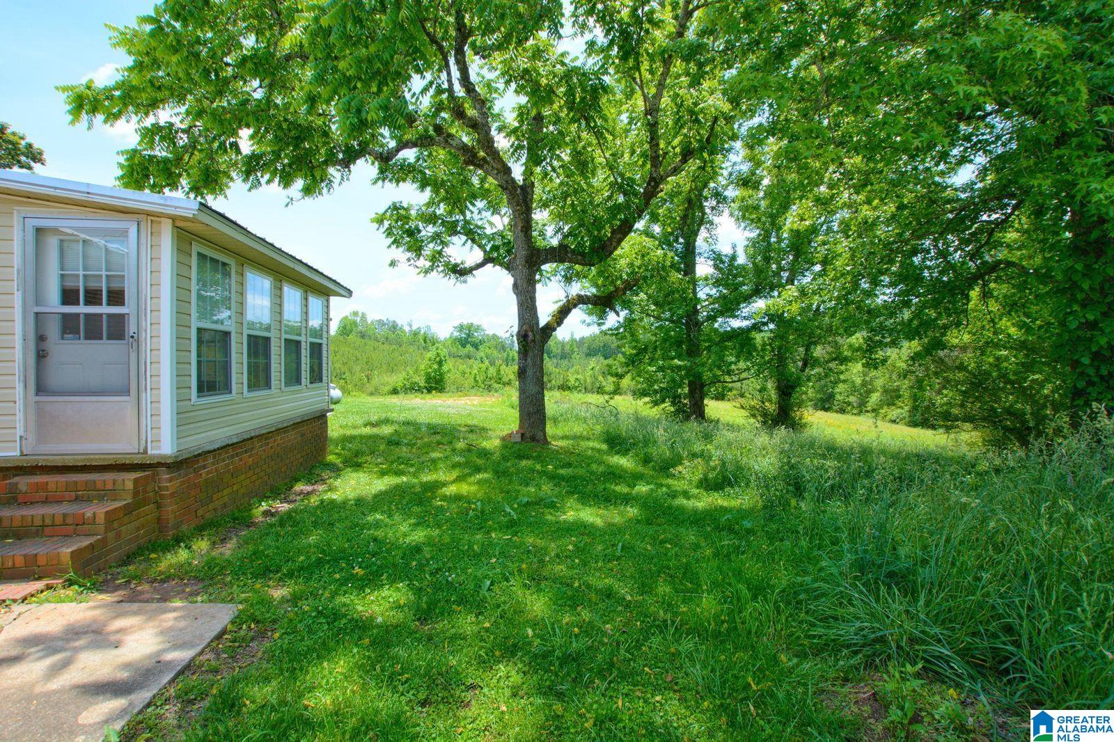 280 County Road 63 Ranburne, AL 36273 - Photo 34 of 43